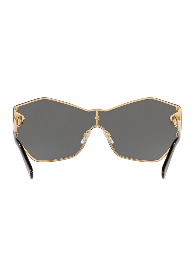 VE2182 Sunglasses