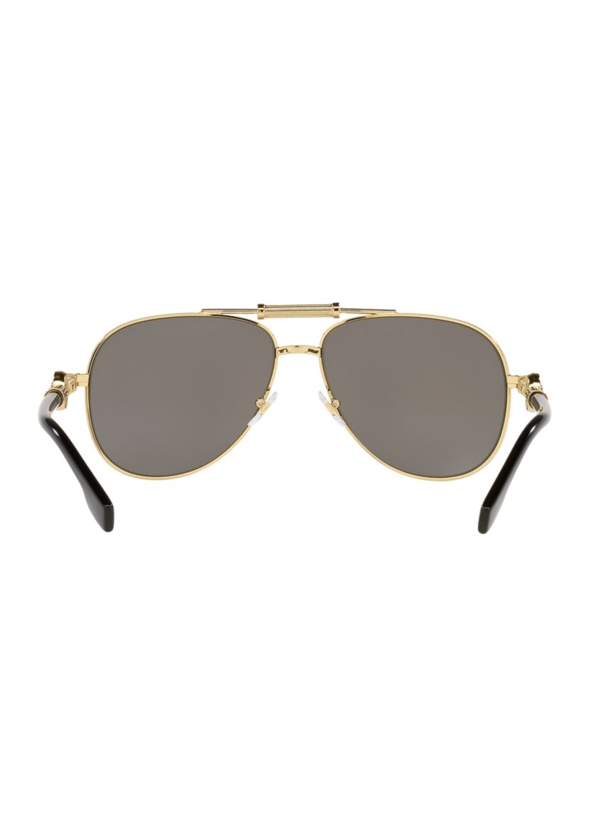 VE2236  Polarized Sunglasses