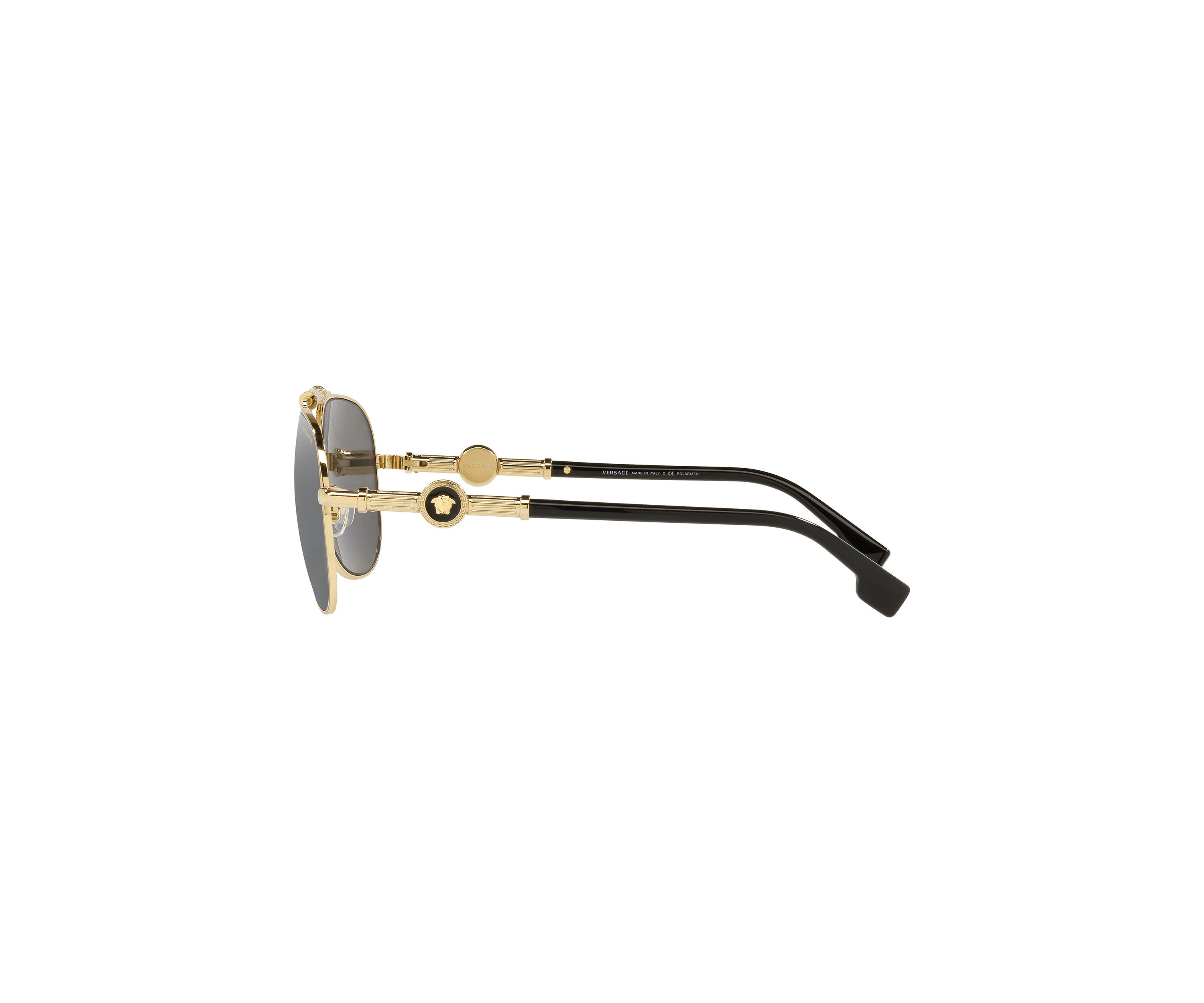 VE2236  Polarized Sunglasses