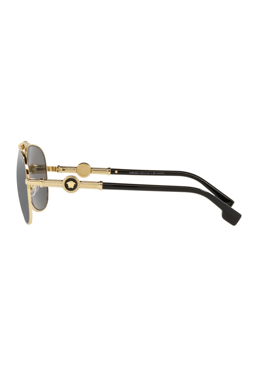 VE2236  Polarized Sunglasses