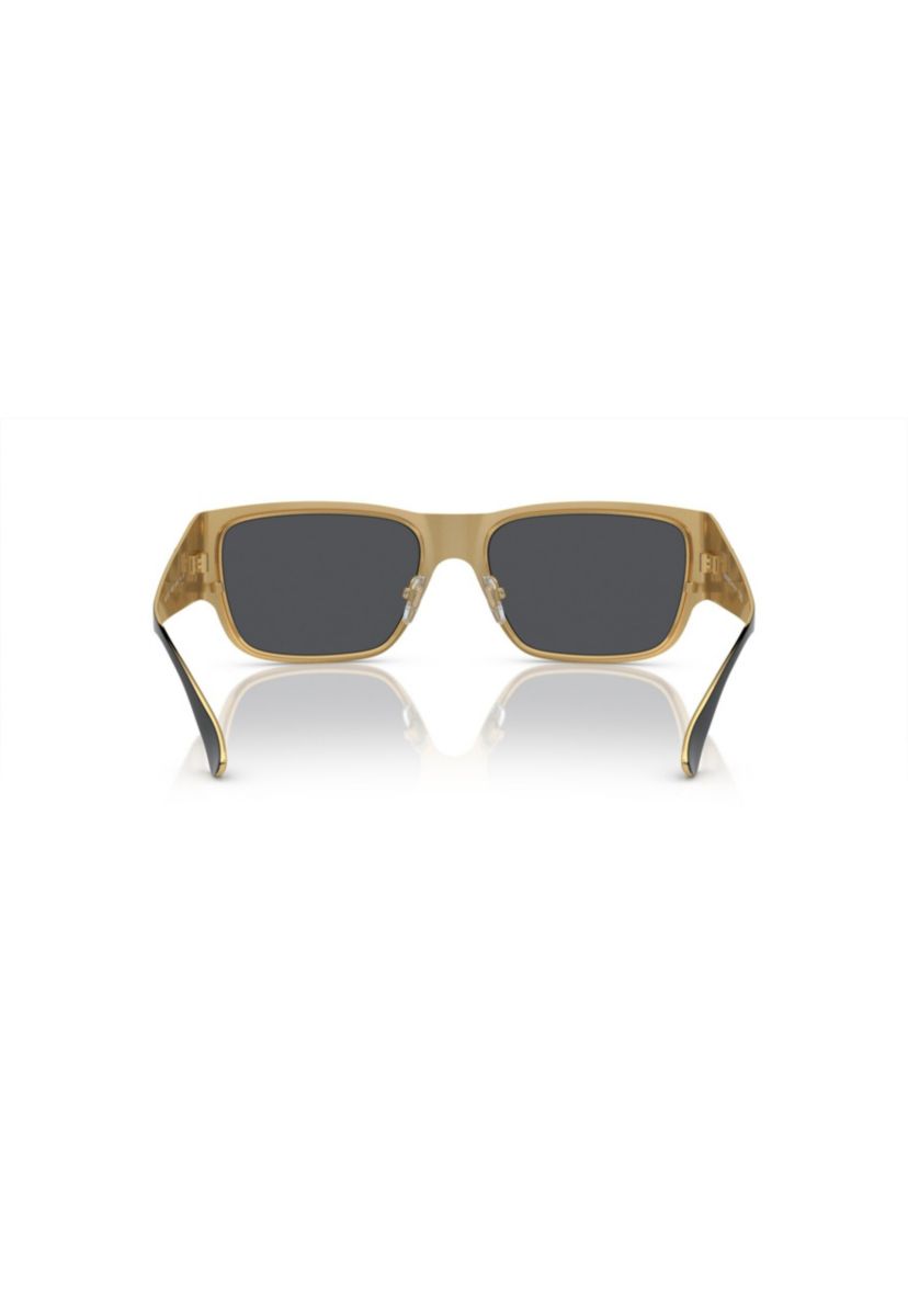 VE2262 Sunglasses