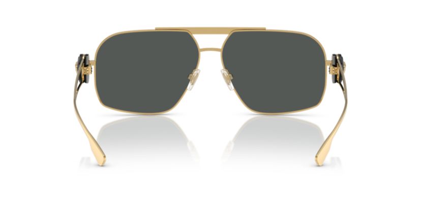 VE2269 Sunglasses