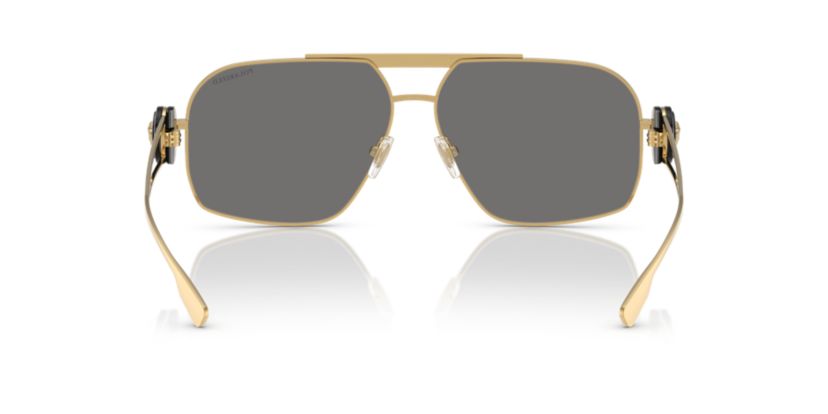 VE2269  Polarized Sunglasses