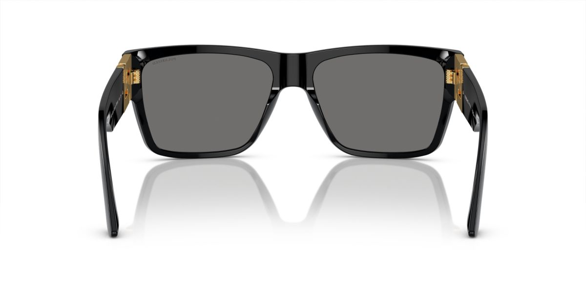 VE4296  Polarized Sunglasses