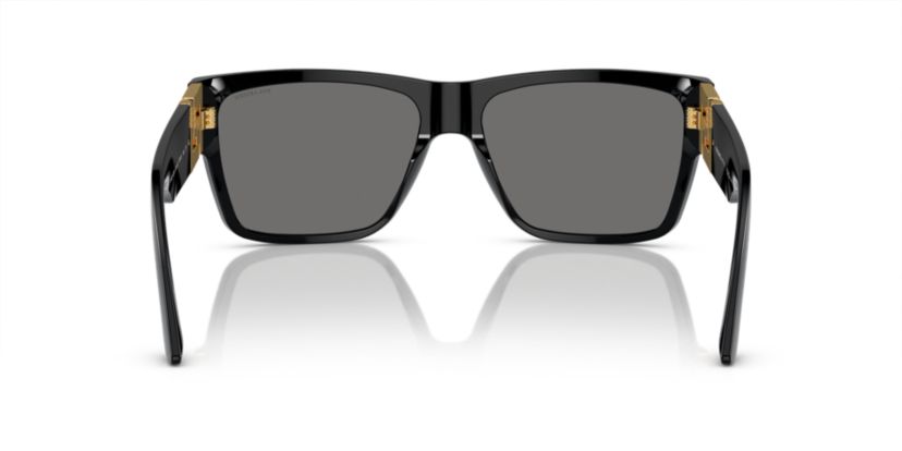 VE4296  Polarized Sunglasses