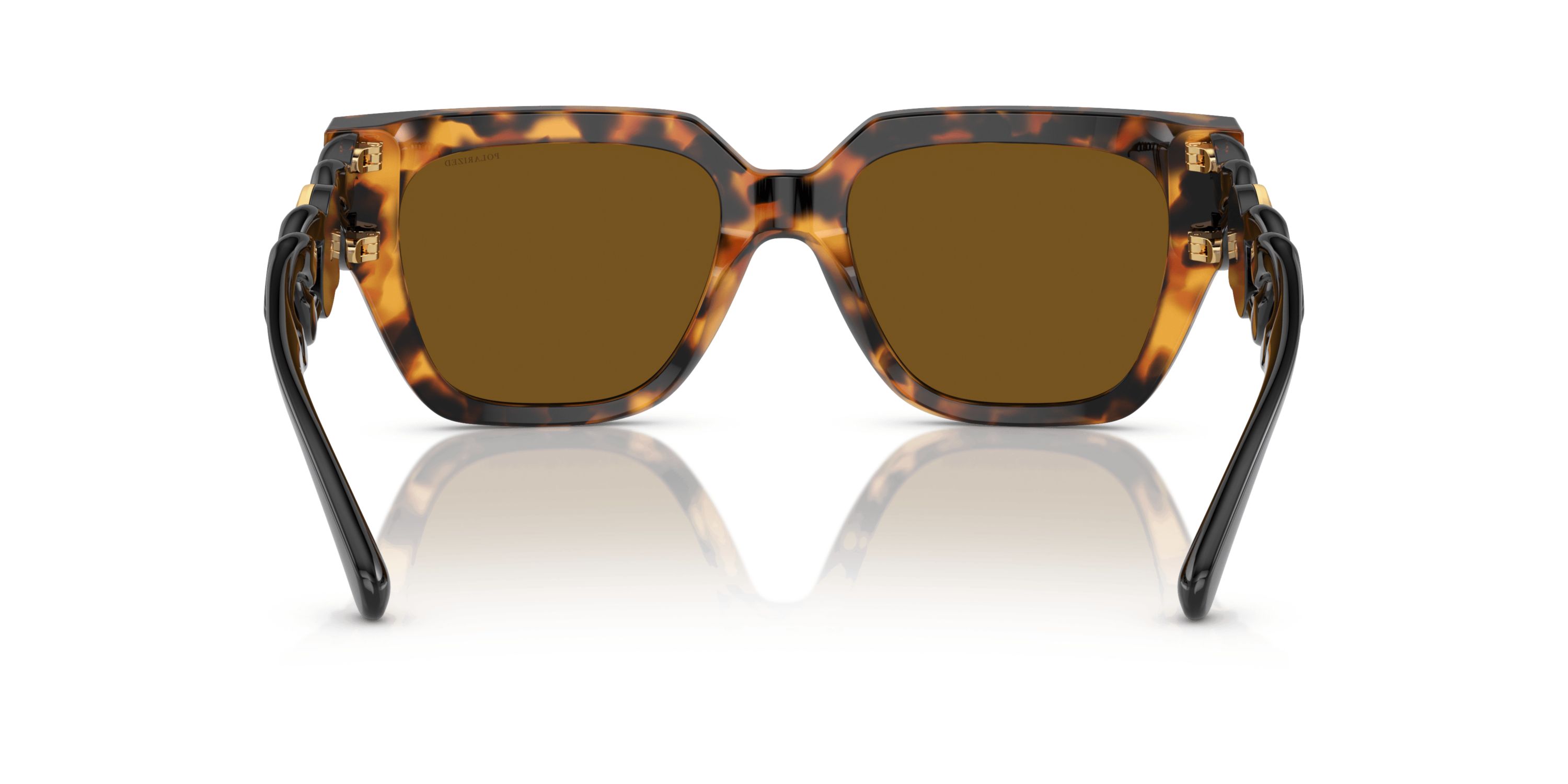VE4409 Polarized Sunglasses