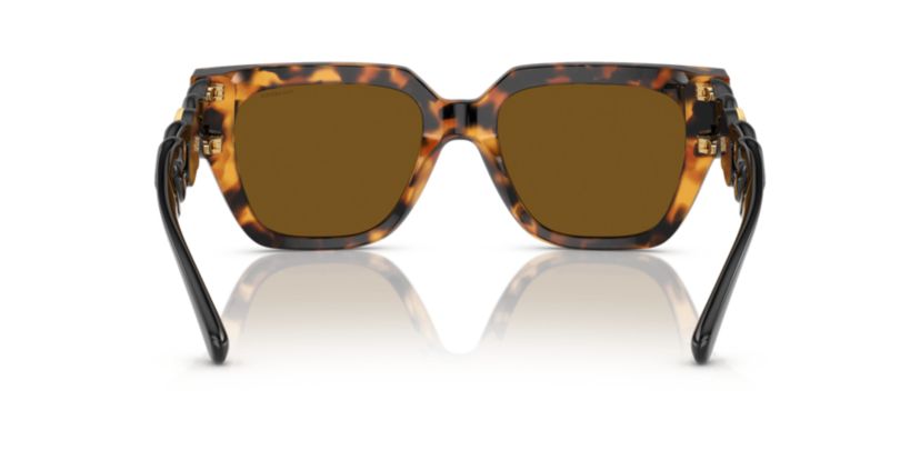 VE4409 Polarized Sunglasses