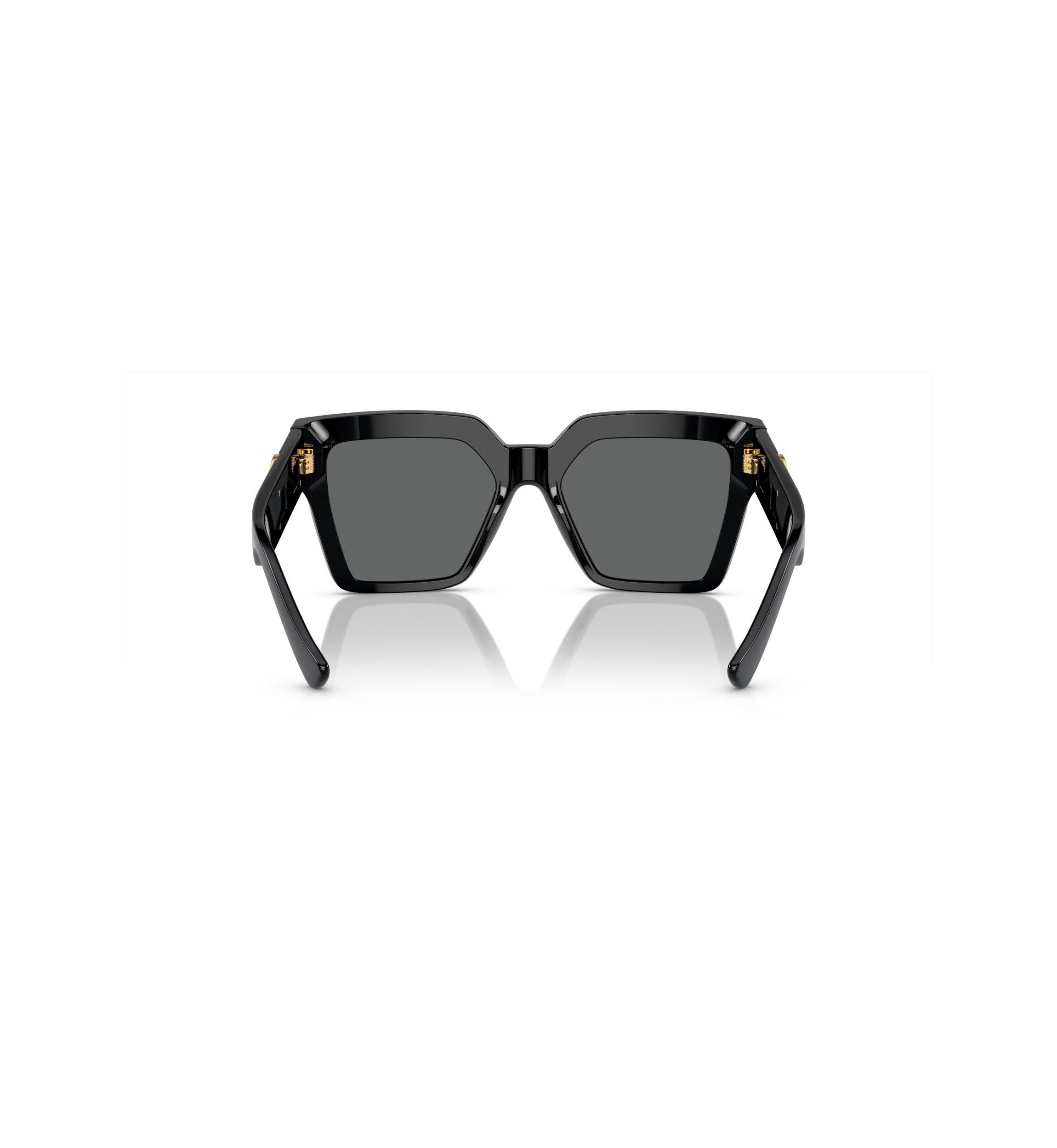 VE4458 Sunglasses