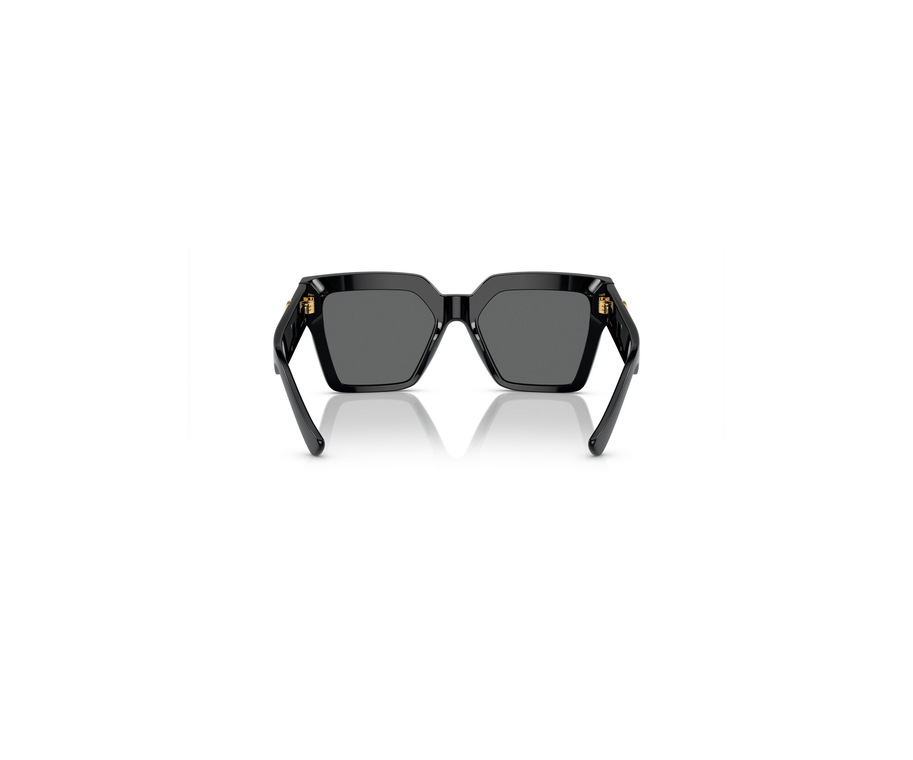 VE4458 Sunglasses