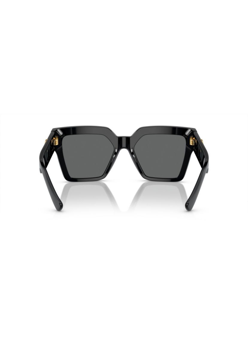 VE4458 Sunglasses