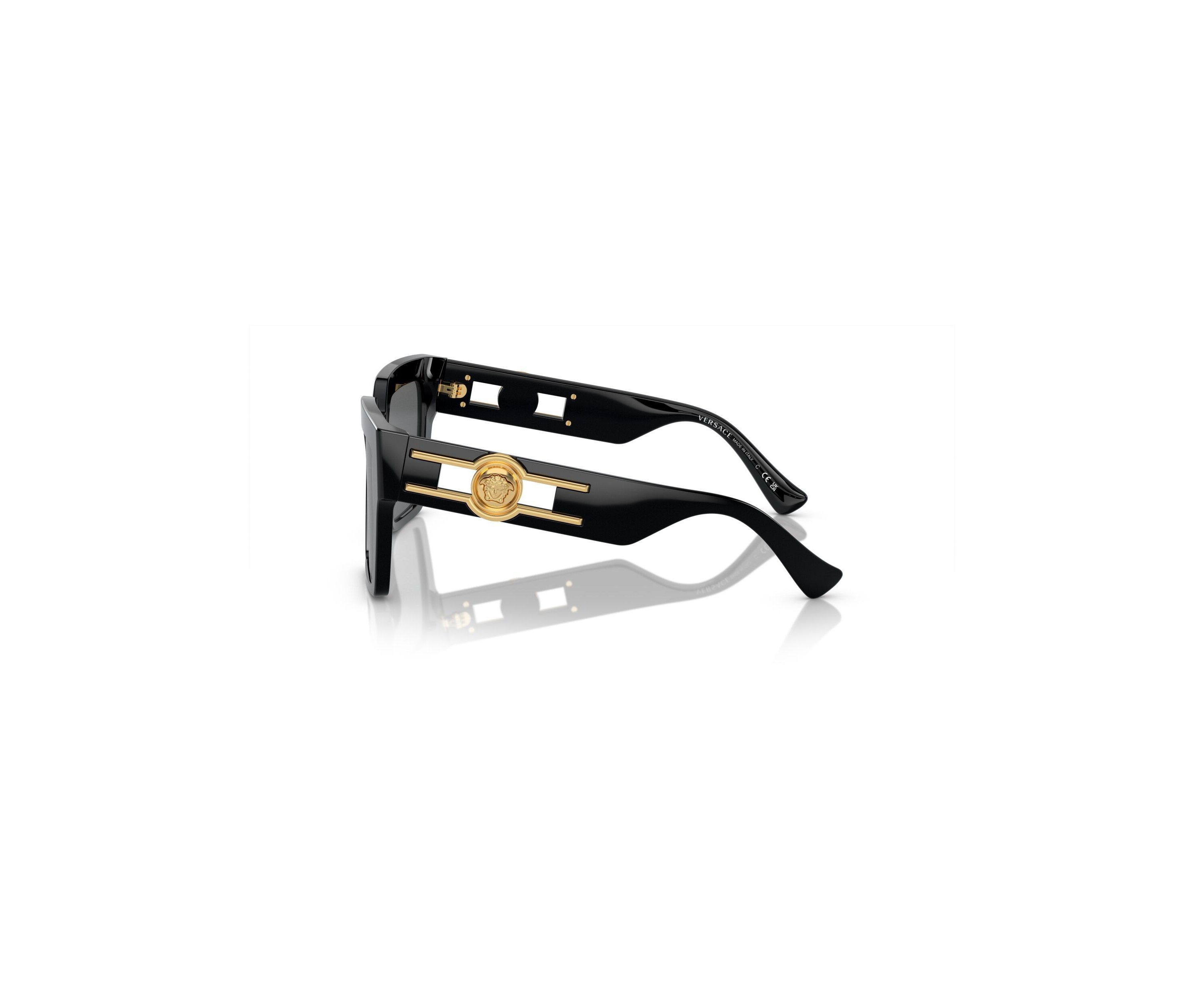 VE4458 Sunglasses
