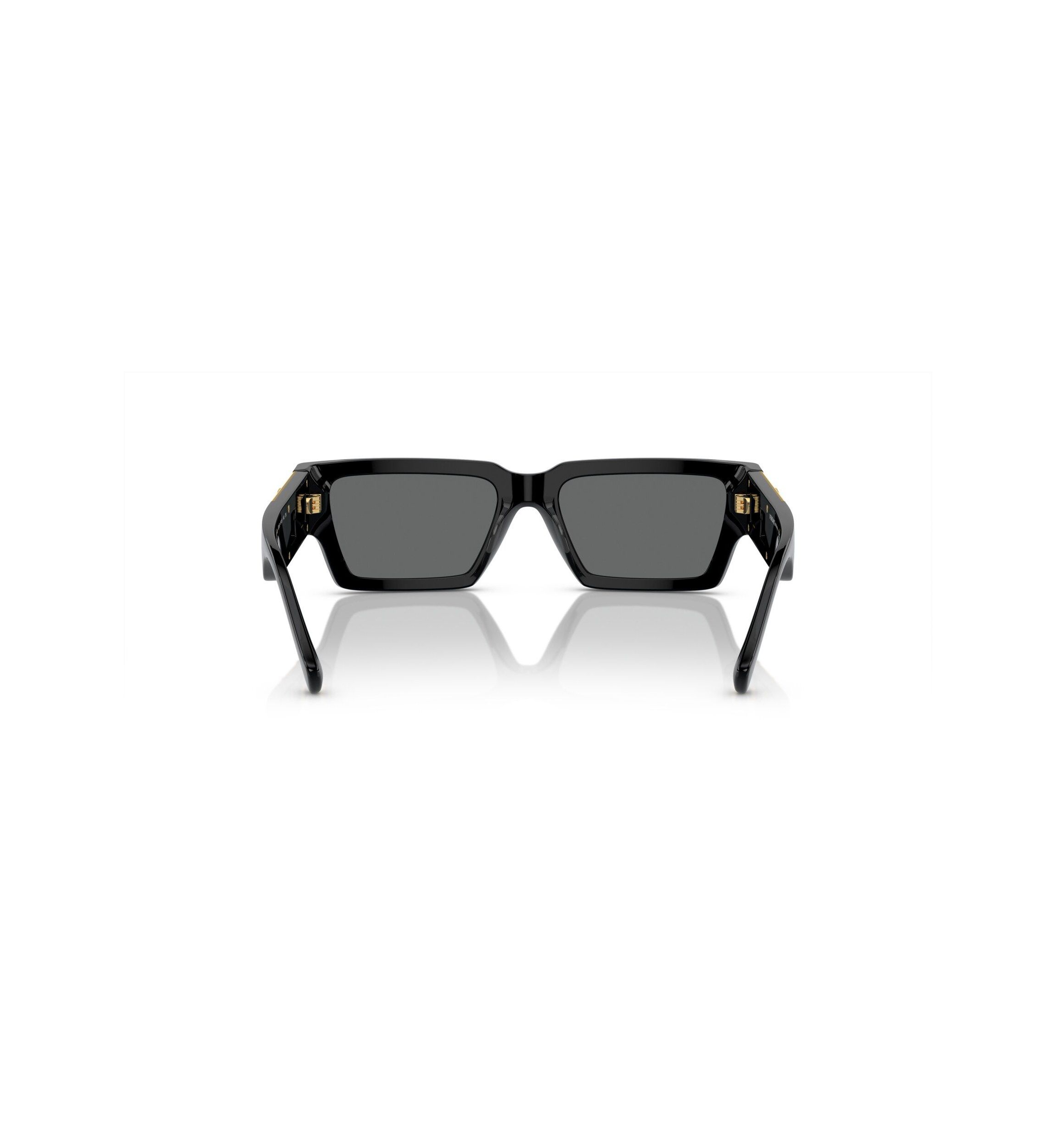 VE4459 Sunglasses