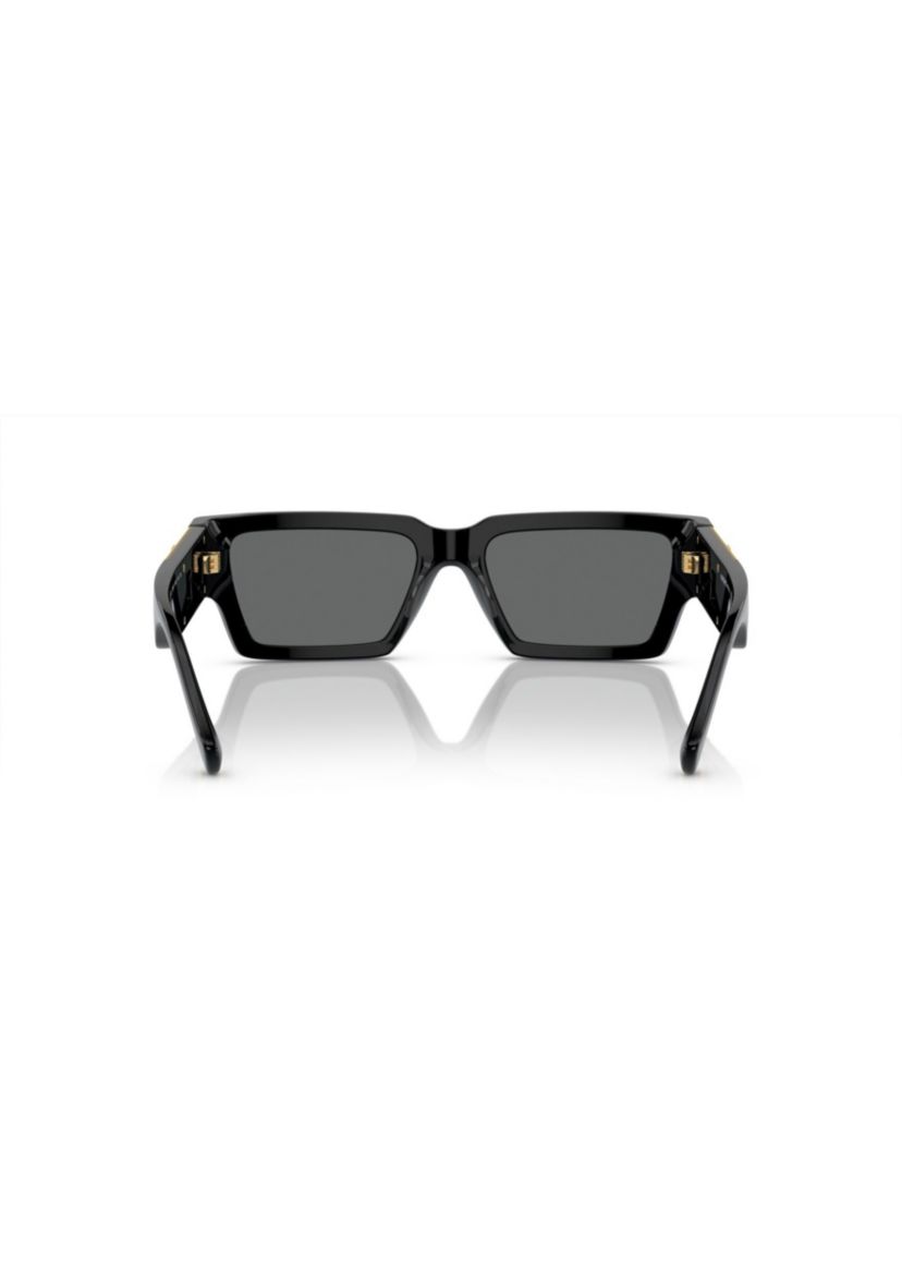 VE4459 Sunglasses