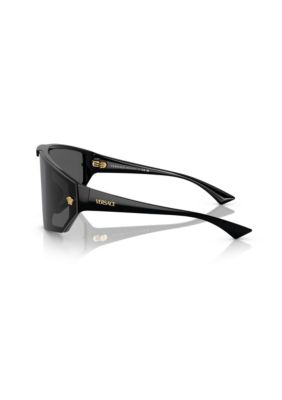 VE4461 Sunglasses