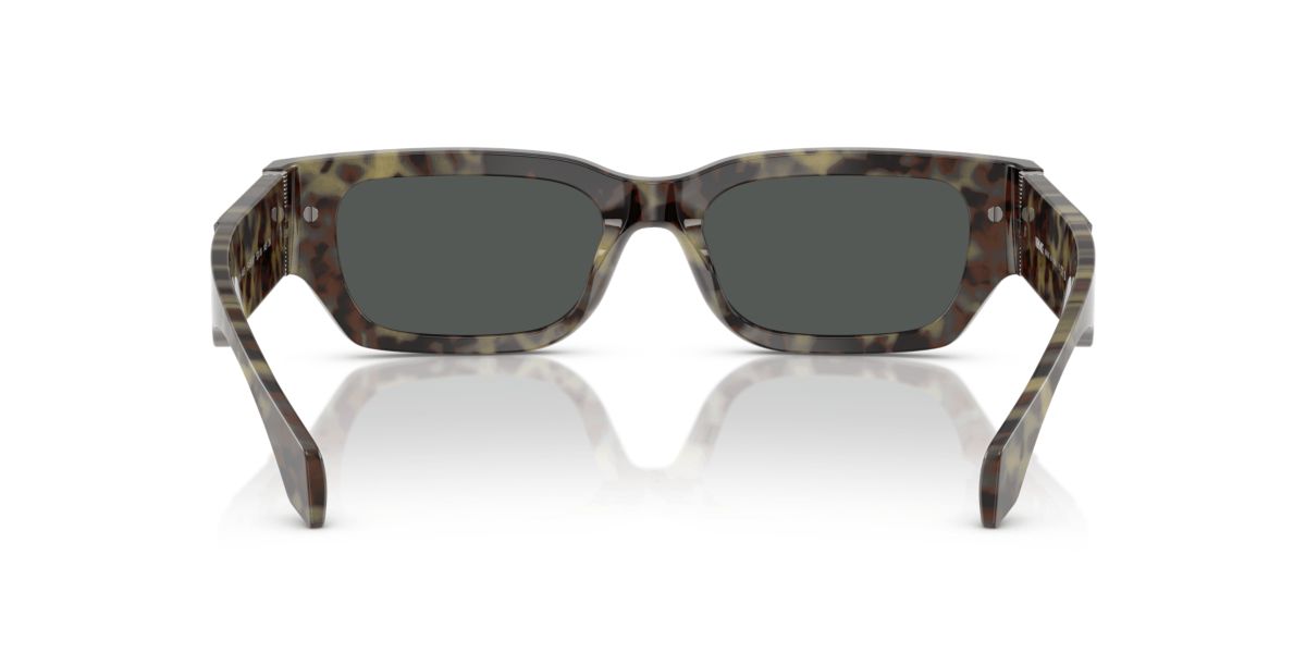 VE4465 Sunglasses