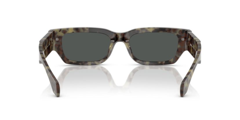 VE4465 Sunglasses