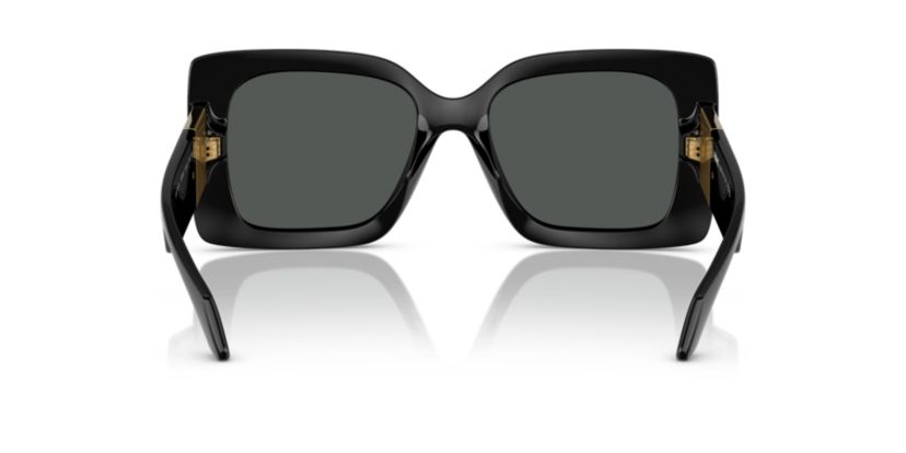 VE4467U Sunglasses