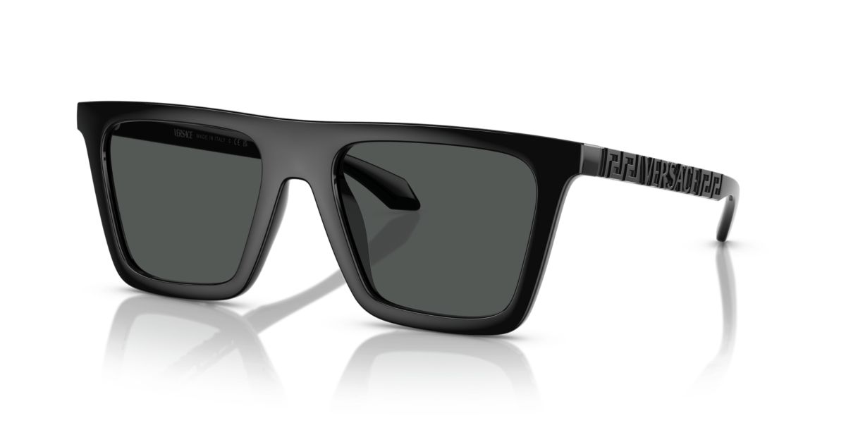 VE4468U Sunglasses