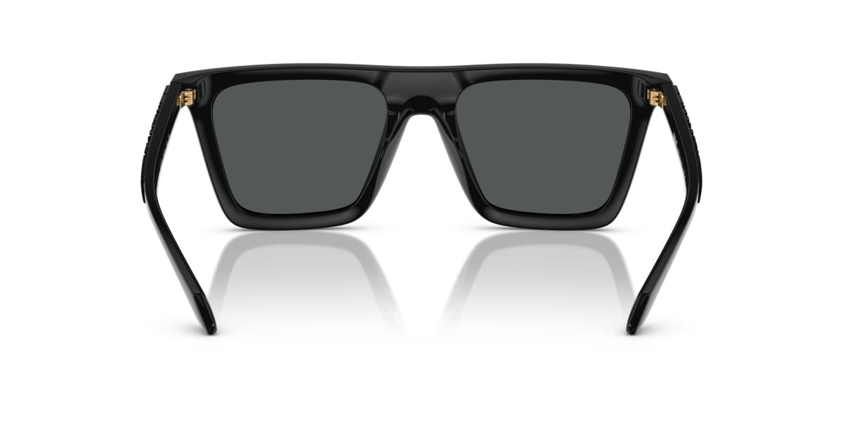 VE4468U Sunglasses