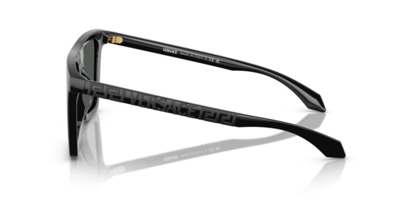 VE4468U Sunglasses