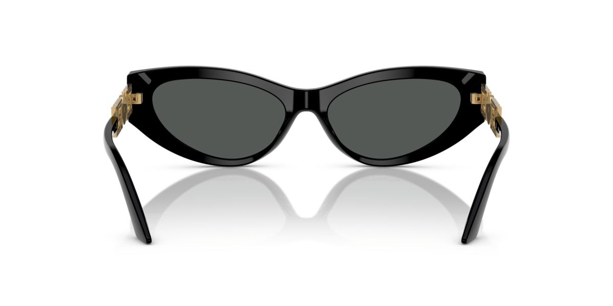 VE4470B  Sunglasses