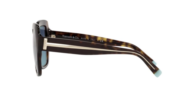 TF4183  Sunglasses