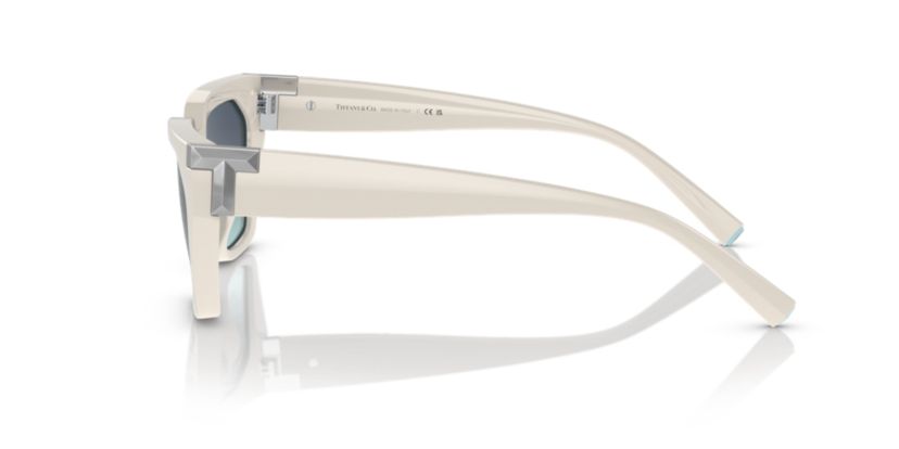 TF4205U Sunglasses