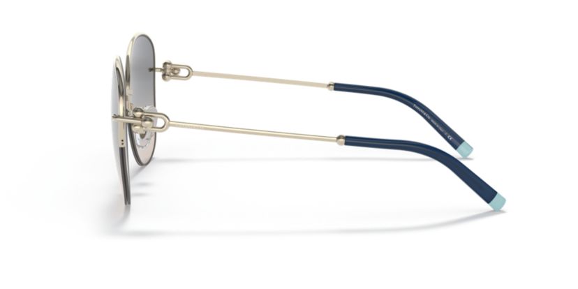 TF3082 Sunglasses