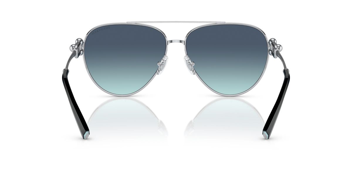 TF3092 Sunglasses