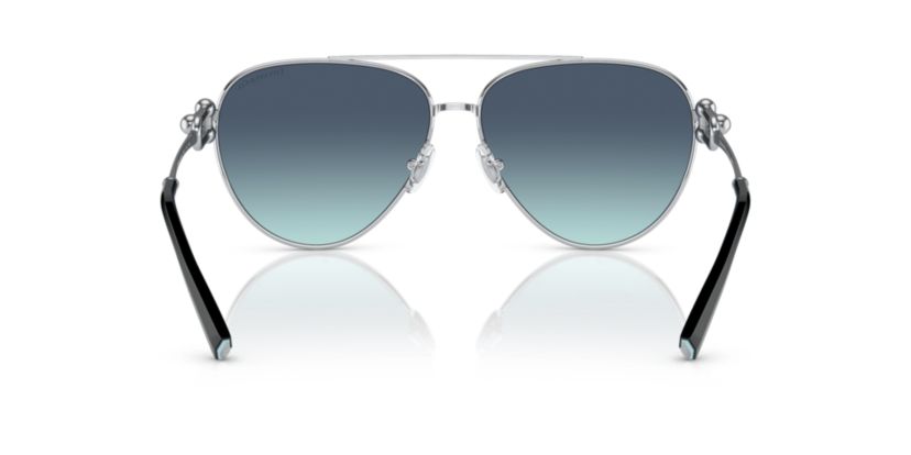 TF3092 Sunglasses