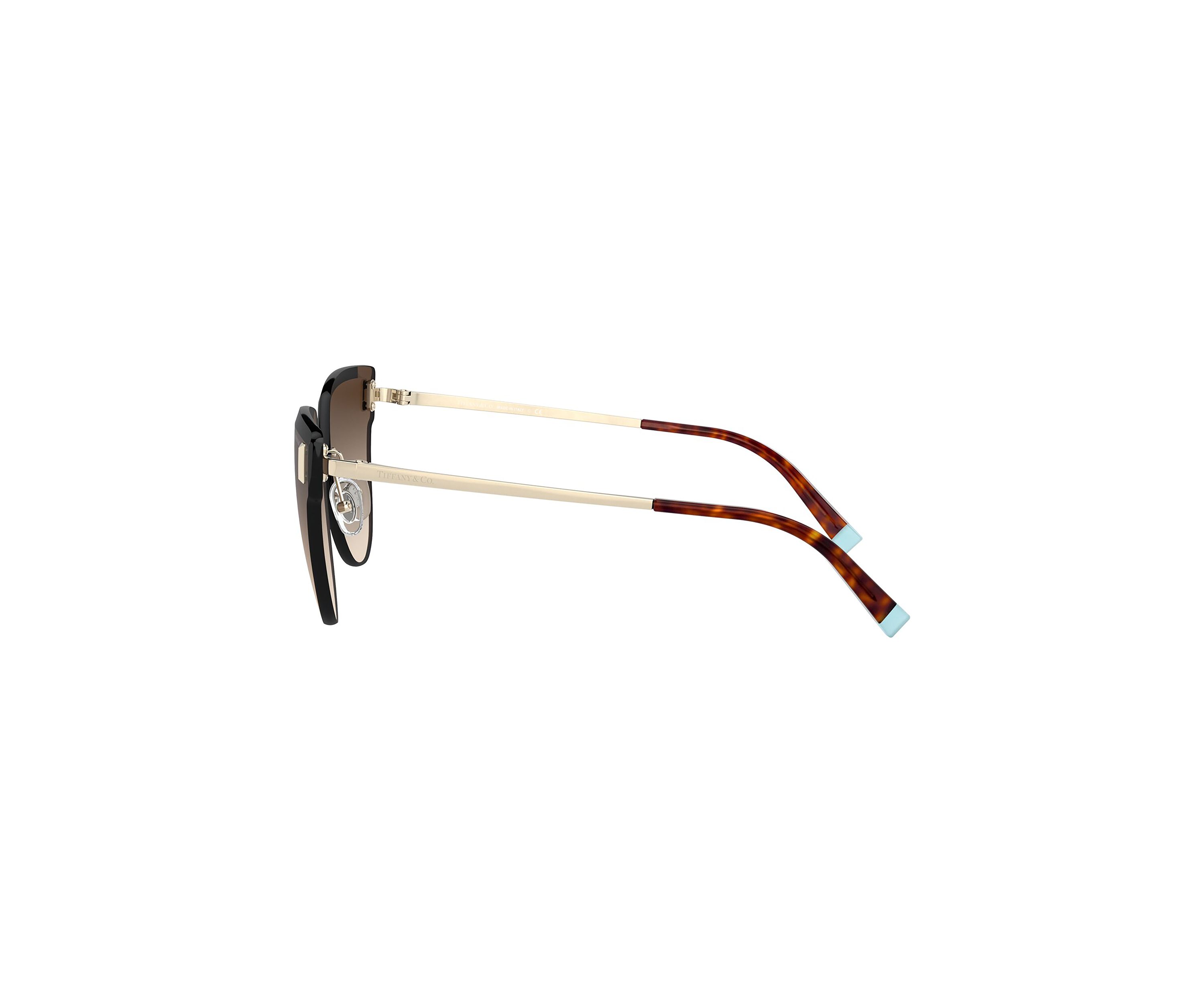 TF3070  Sunglasses