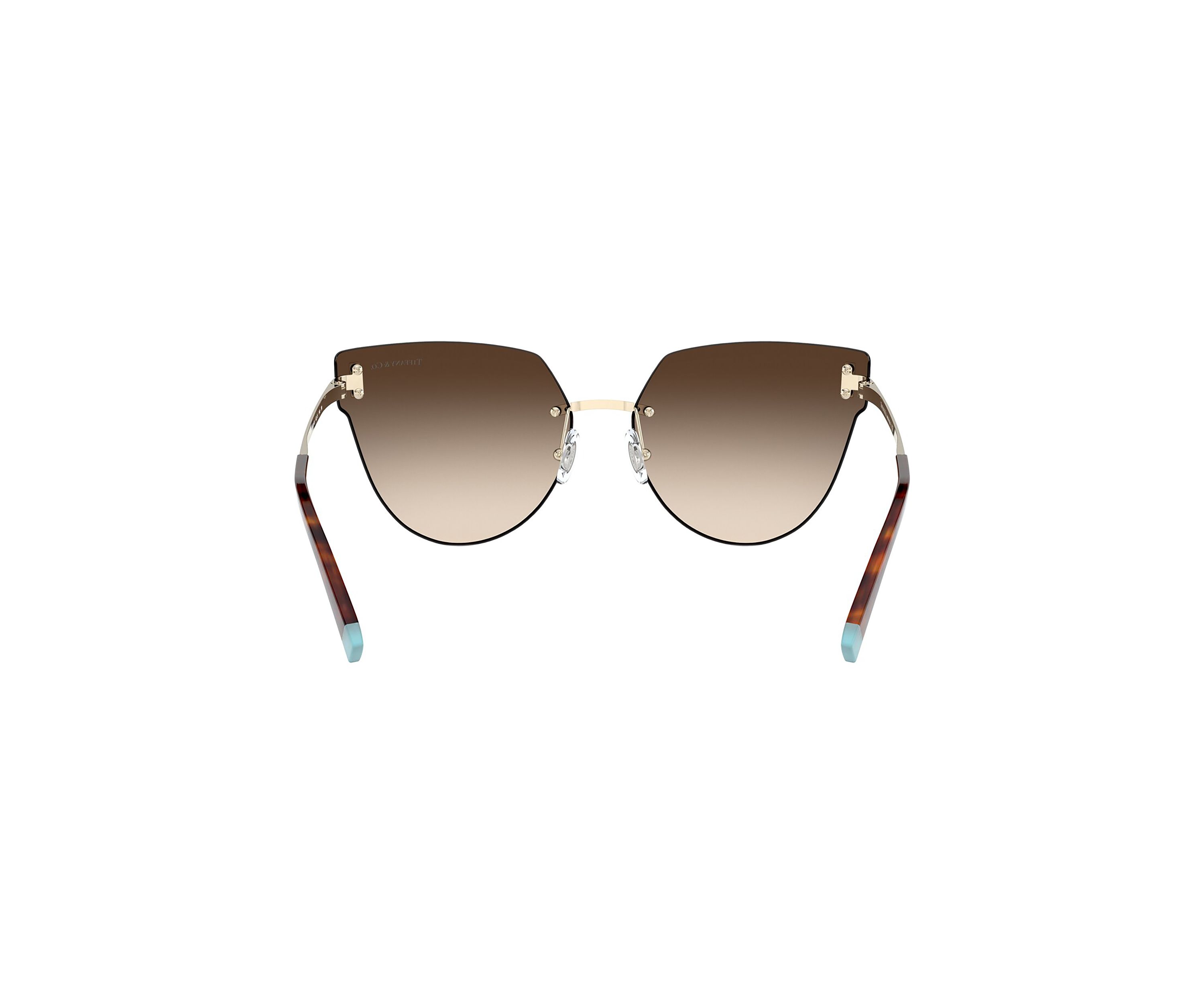 TF3070  Sunglasses