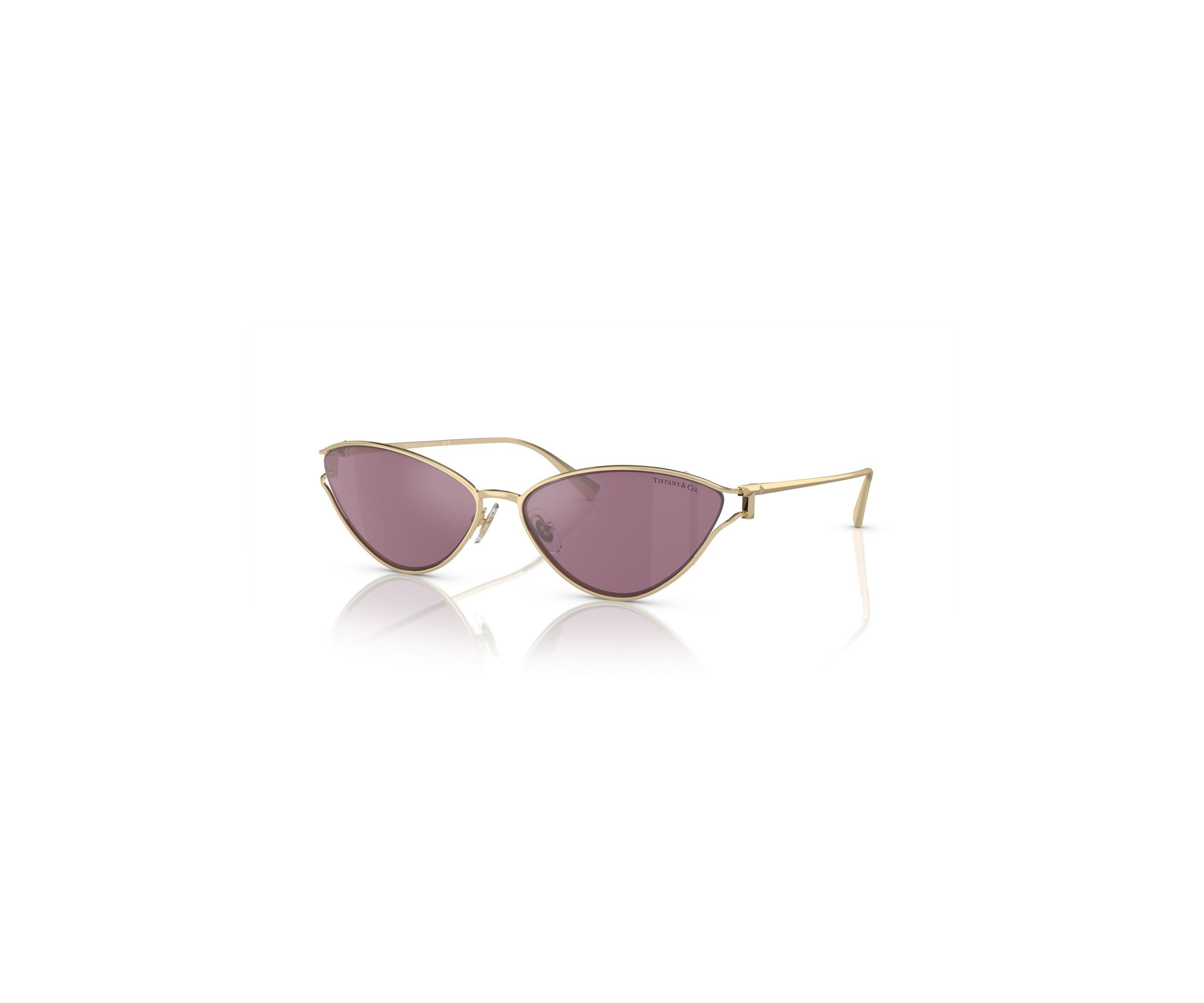 TF3095 Sunglasses
