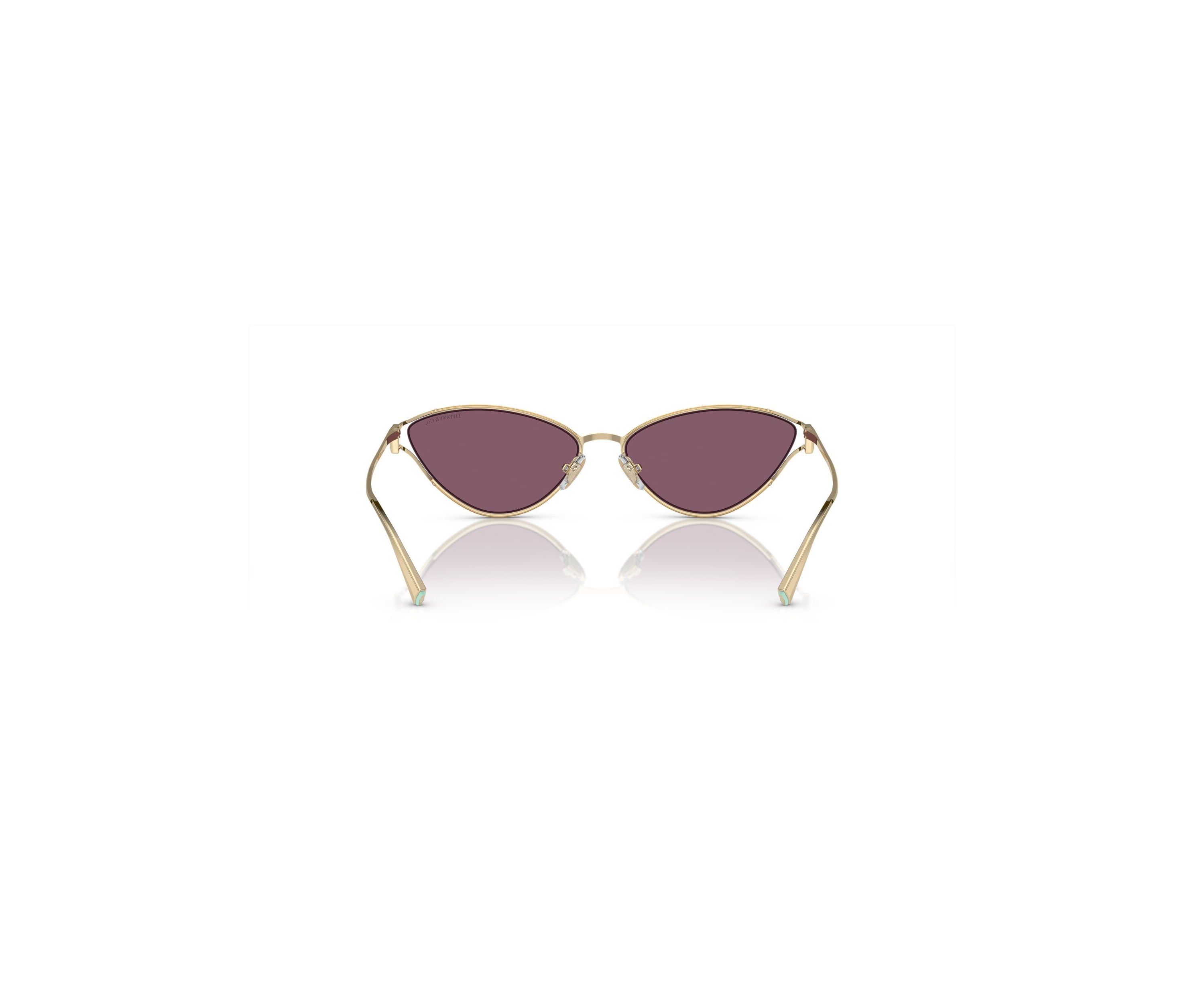 TF3095 Sunglasses