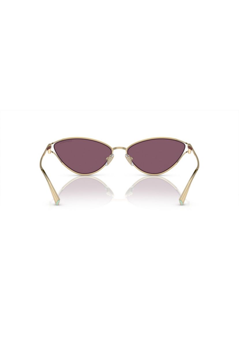 TF3095 Sunglasses