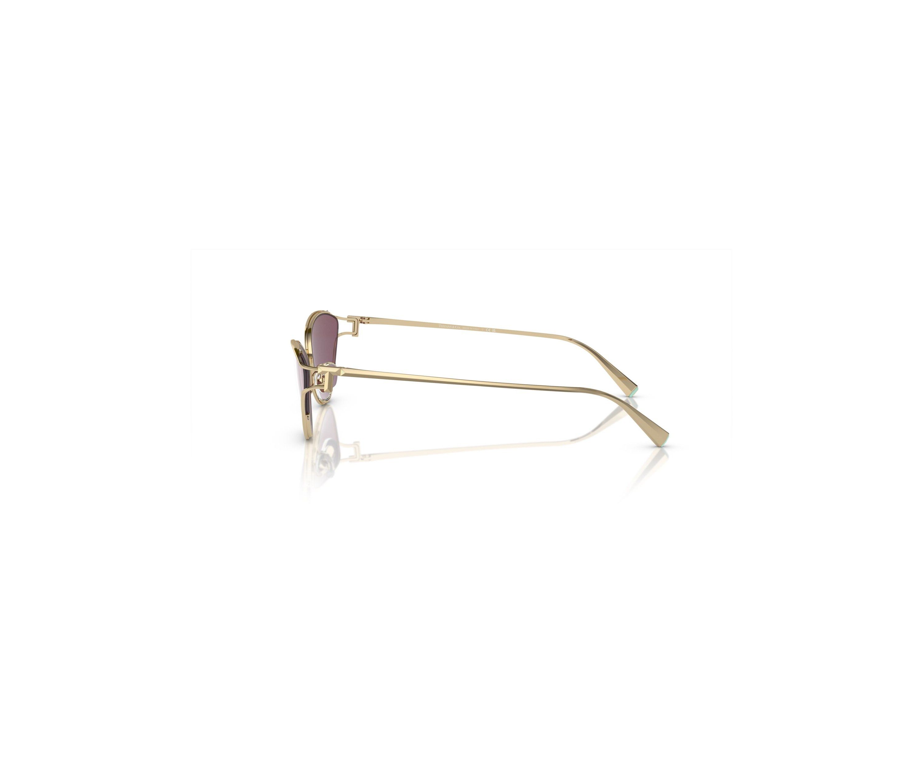 TF3095 Sunglasses