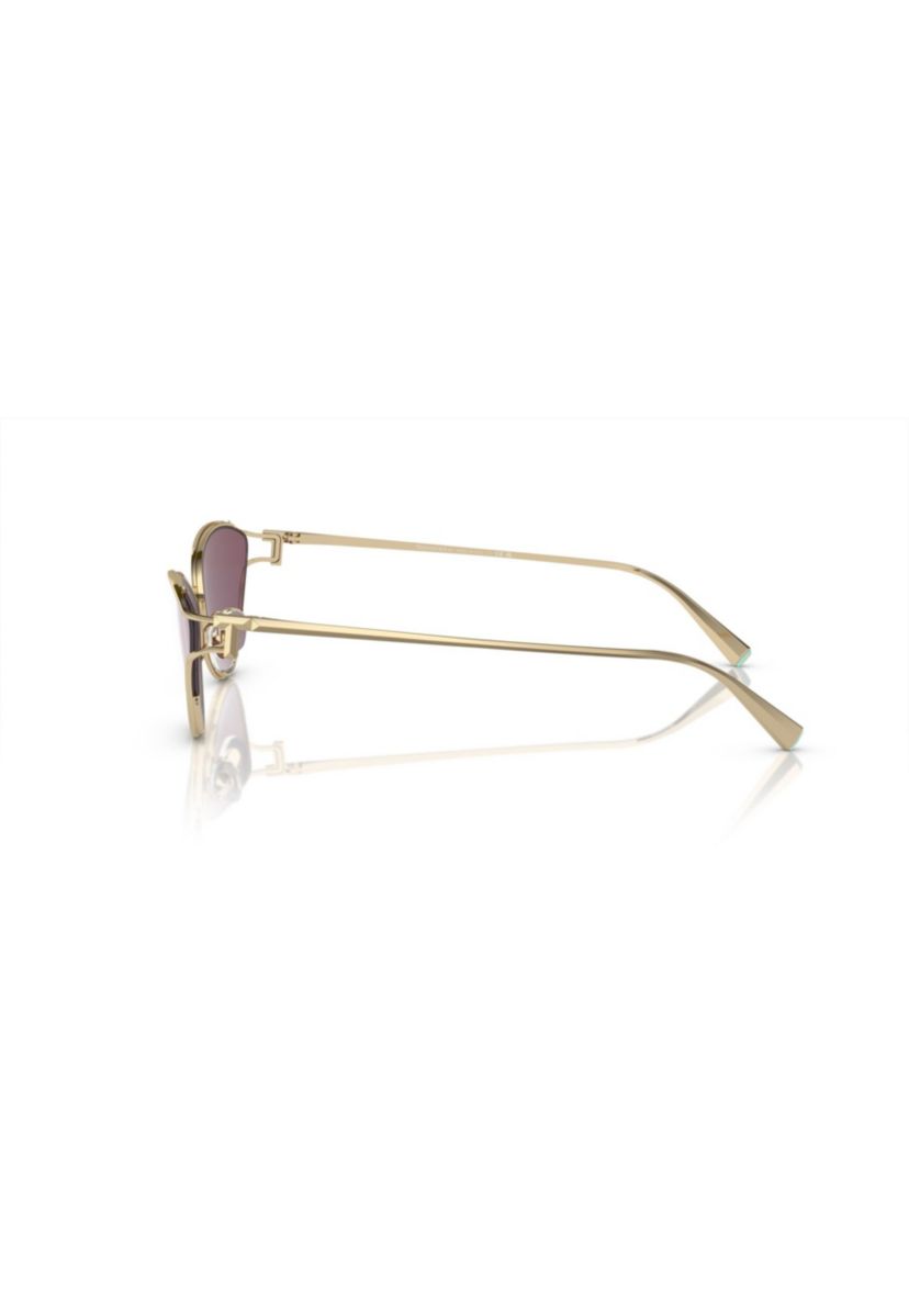 TF3095 Sunglasses