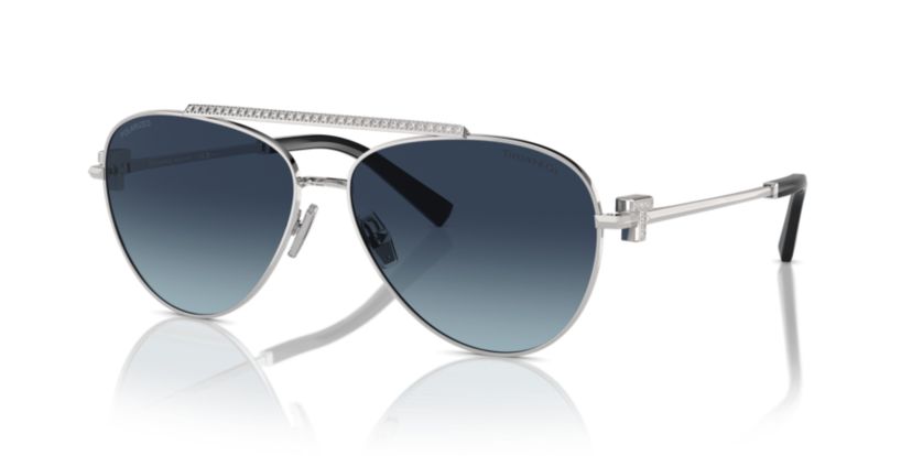 TF3101B Polarized Sunglasses