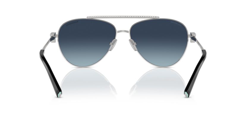 TF3101B Polarized Sunglasses