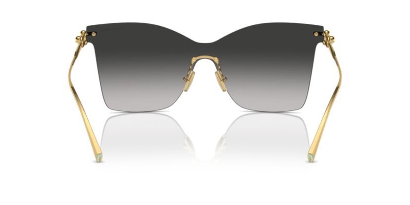 TF3103K Sunglasses