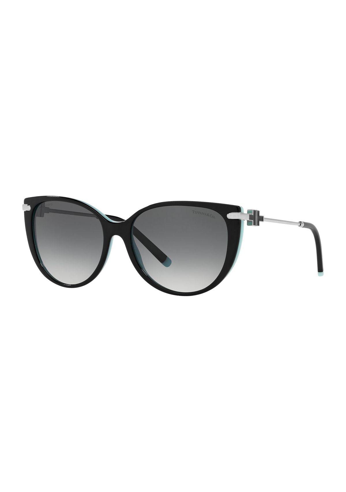 TF4178  Polarized Sunglasses