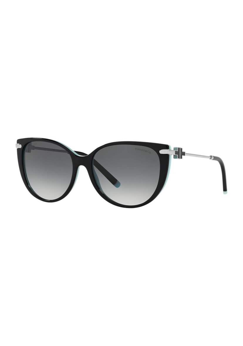 TF4178  Polarized Sunglasses