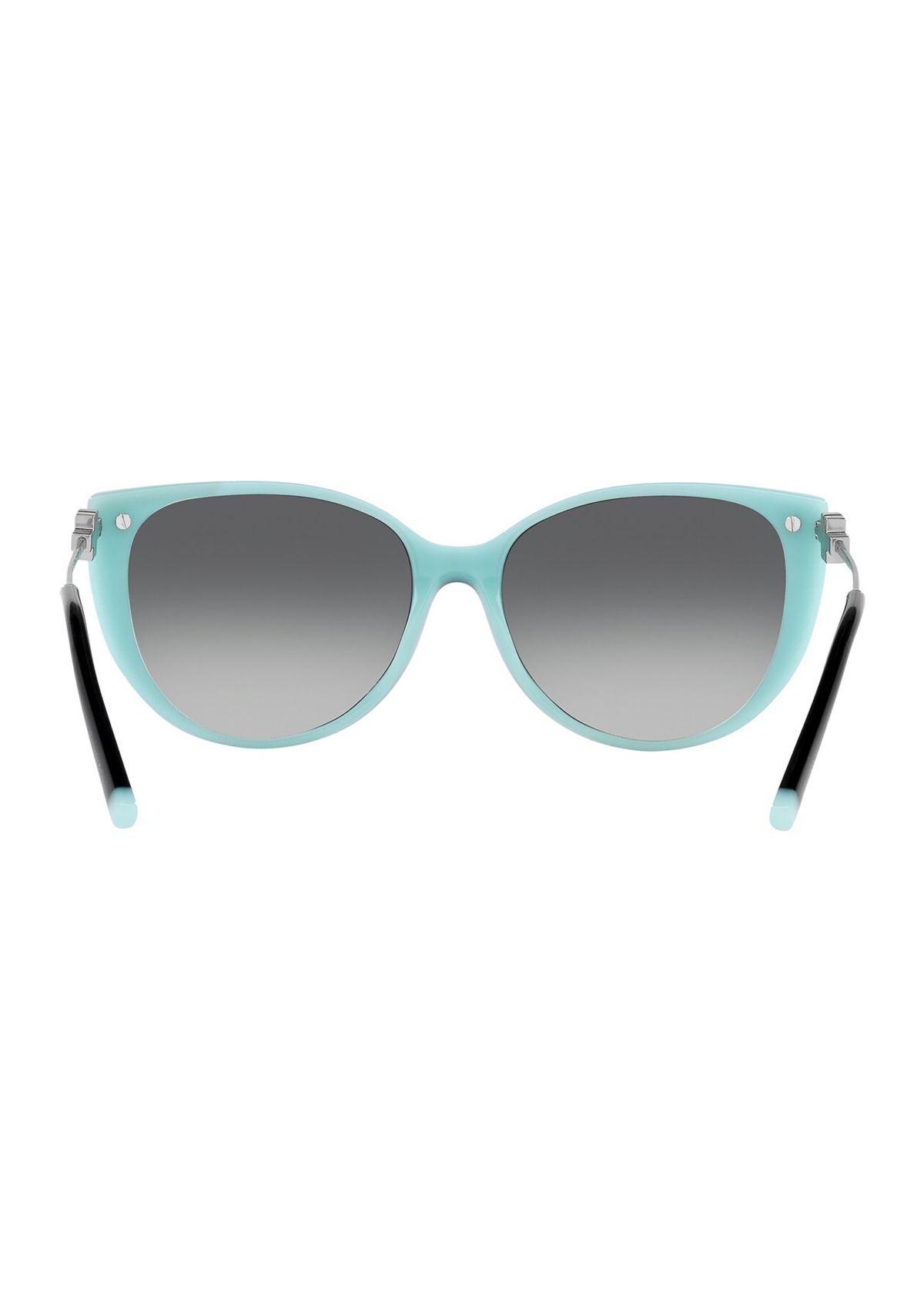 TF4178  Polarized Sunglasses