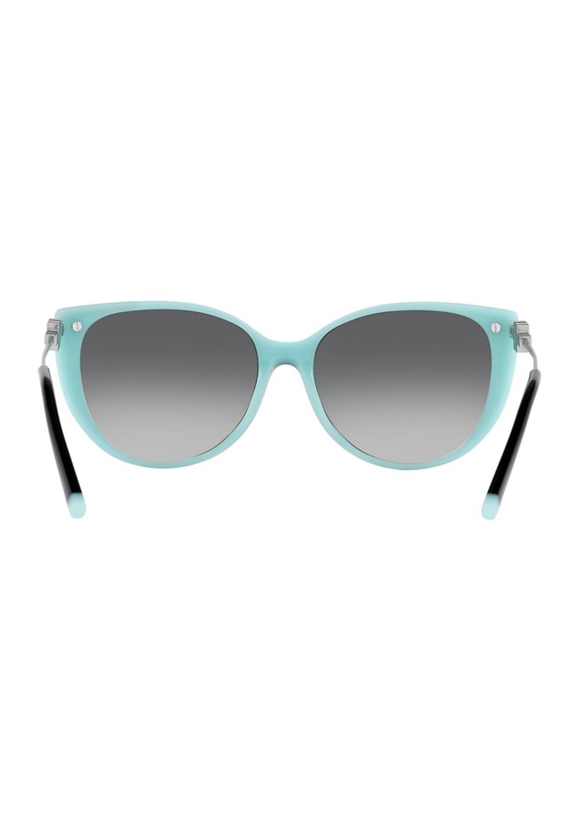 TF4178  Polarized Sunglasses