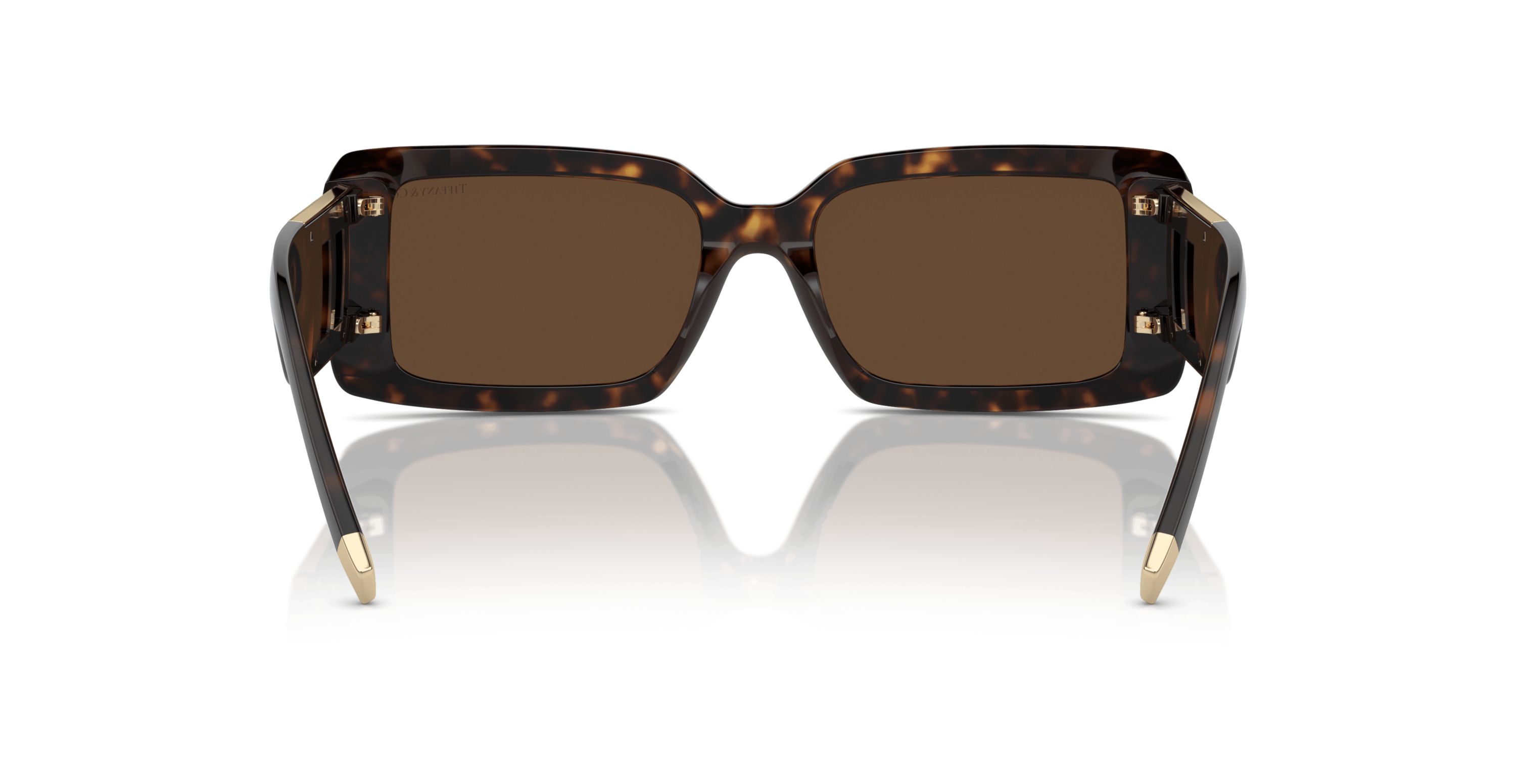 TF4197  Sunglasses