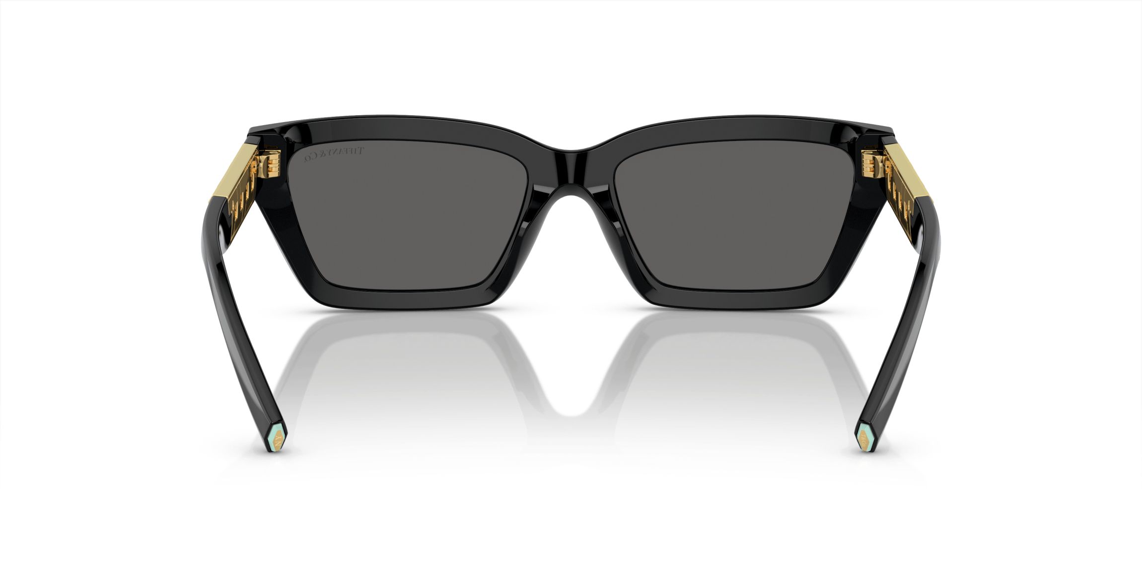 TF4213 Sunglasses