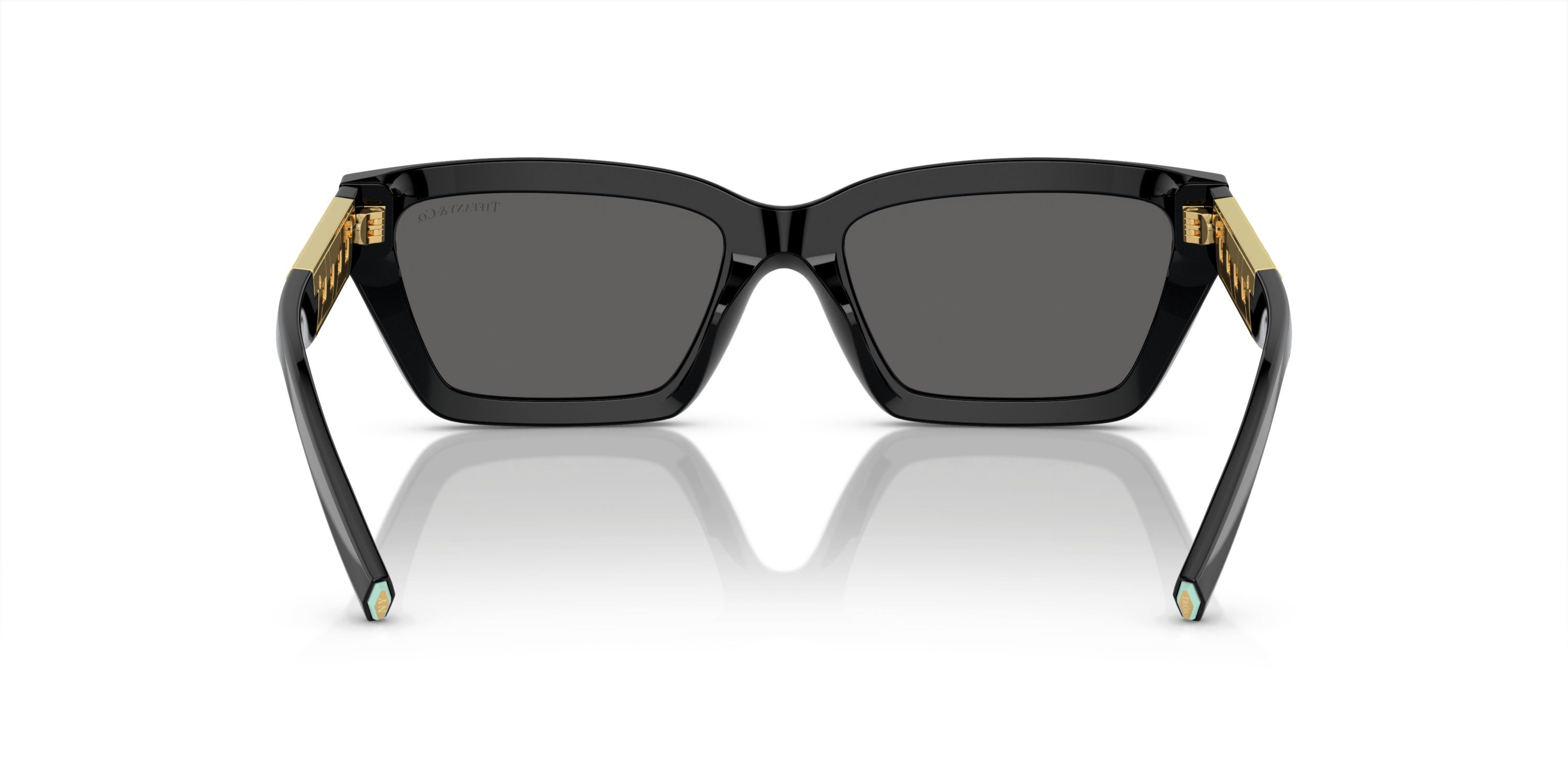 TF4213 Sunglasses