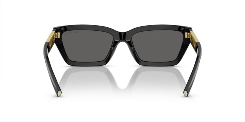 TF4213 Sunglasses