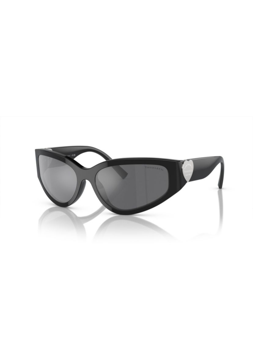 TF4217 Sunglasses