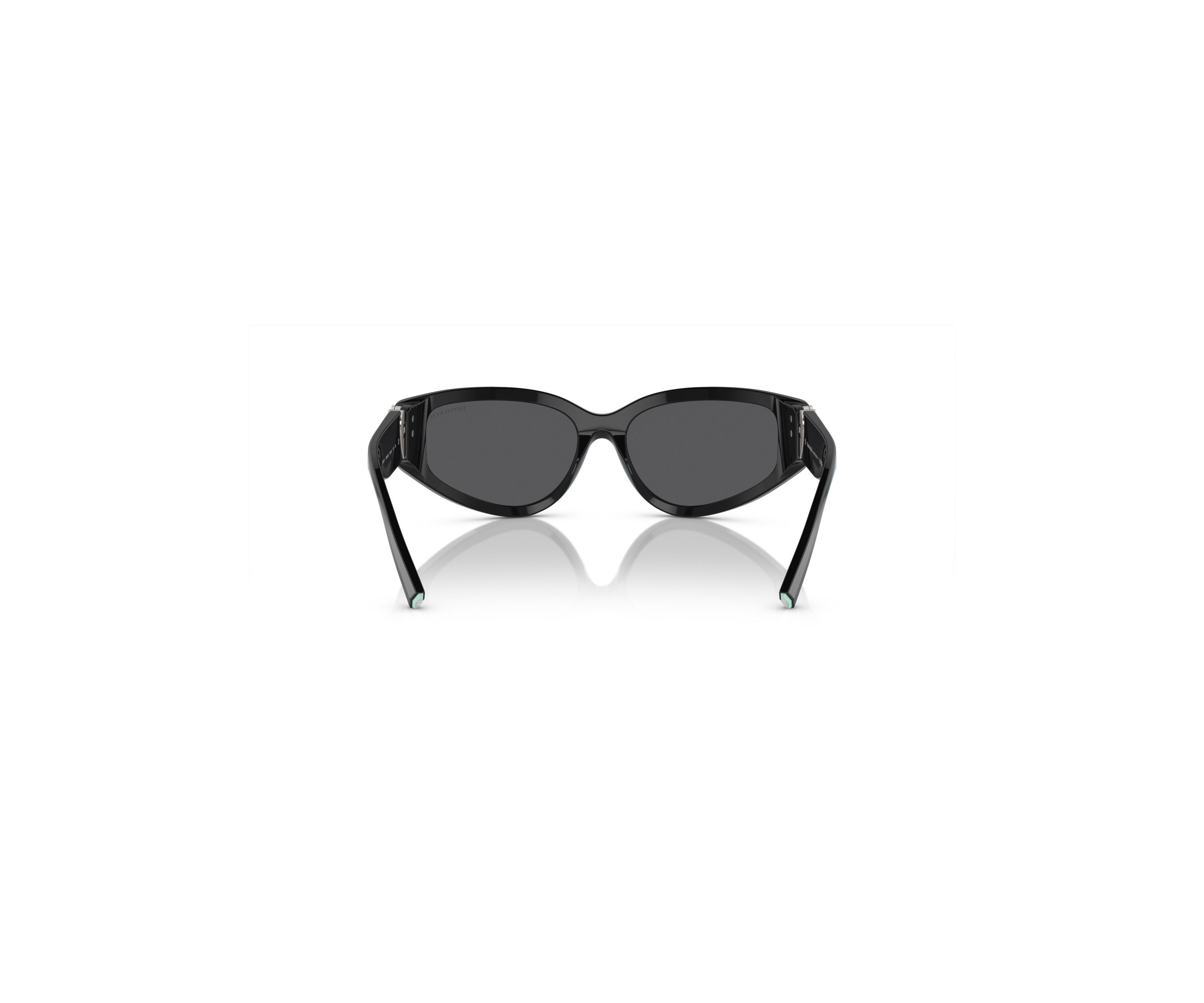 TF4217 Sunglasses